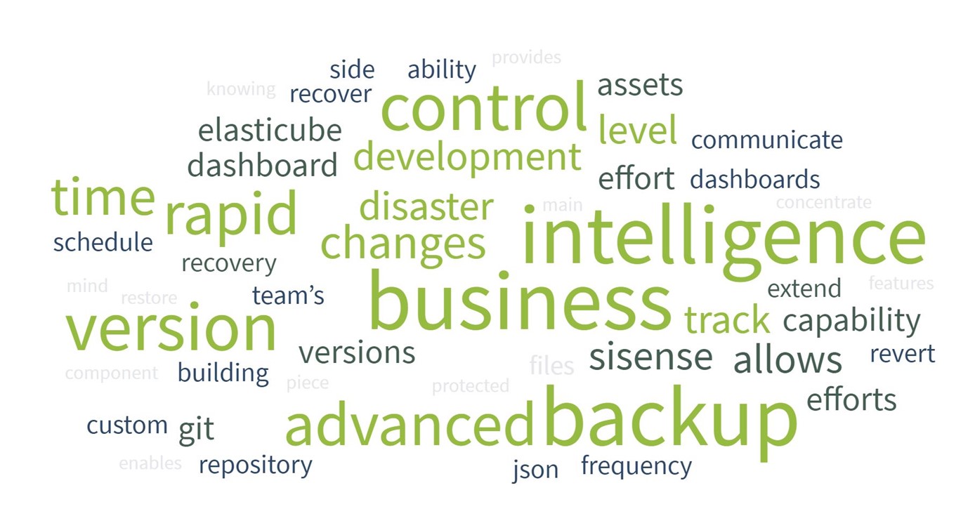 Business intelligence word cloud